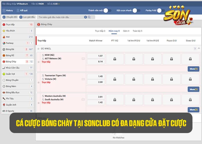 Các cược bóng chày tại Sonclub có đá dạng cửa đặt cược